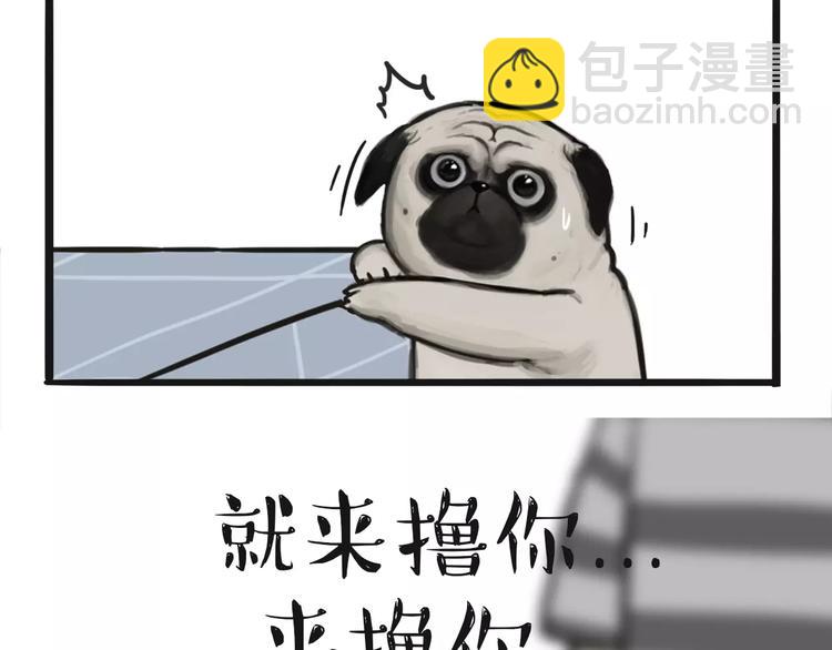 🍘吾皇巴扎黑 第97话 功夫 第10页