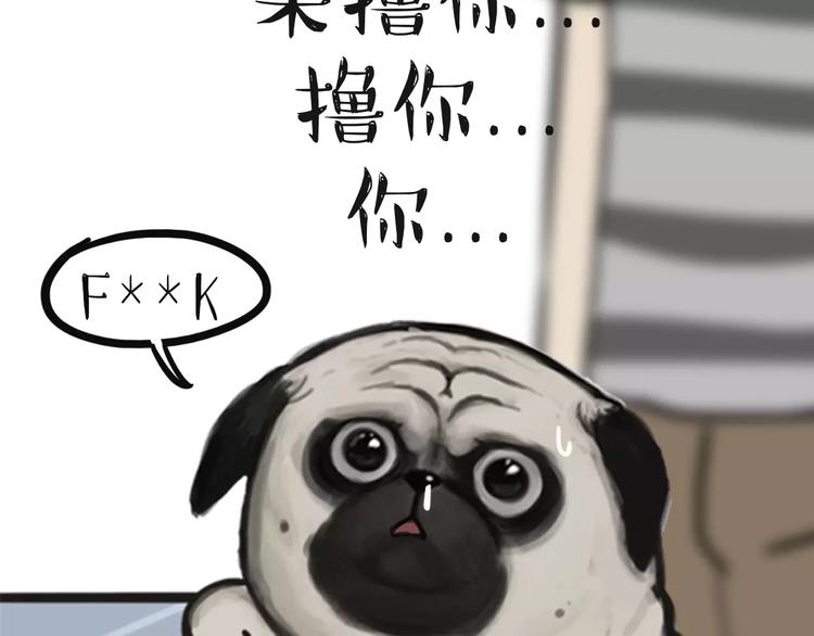 🍘吾皇巴扎黑 第97话 功夫 第11页