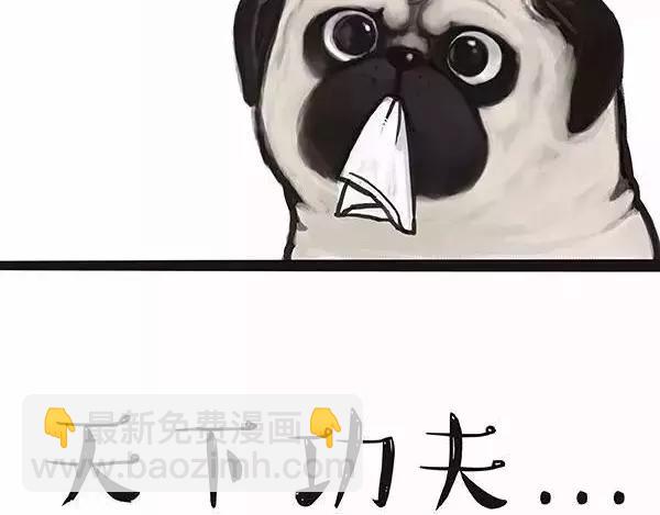 🍘吾皇巴扎黑 第97话 功夫 第17页