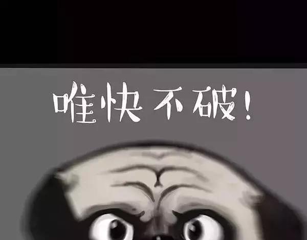 🍘吾皇巴扎黑 第97话 功夫 第19页
