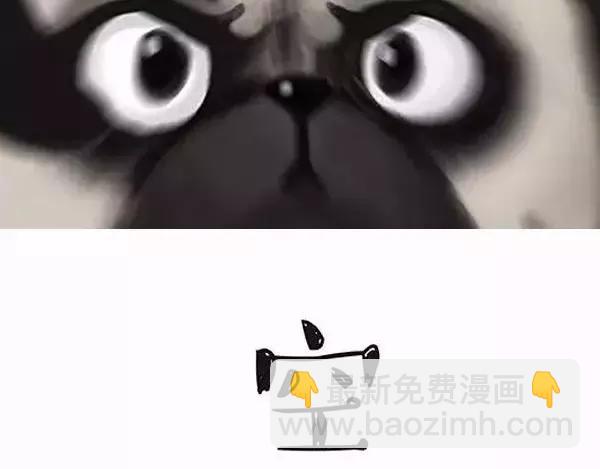 🍘吾皇巴扎黑 第97话 功夫 第21页