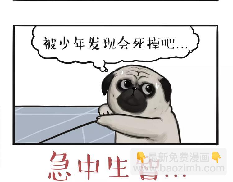 🍘吾皇巴扎黑 第97话 功夫 第4页
