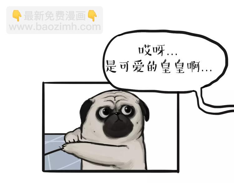 🍘吾皇巴扎黑 第97话 功夫 第7页