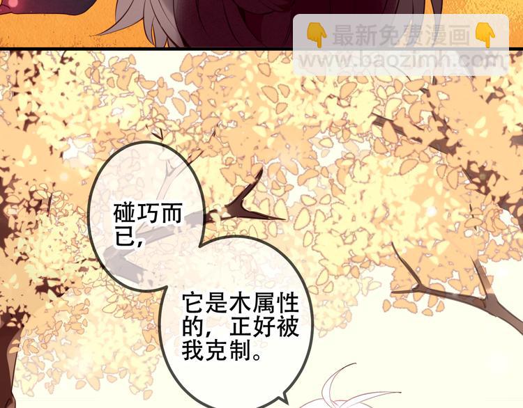 第31话  凰炎国的流行(1/2)-第35话