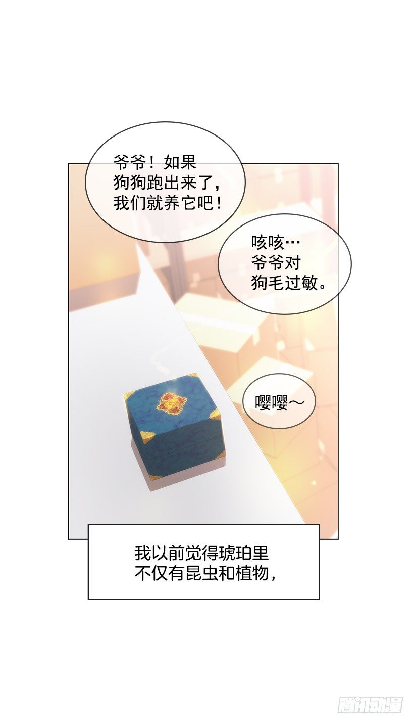 守护石(1/2)-第3话