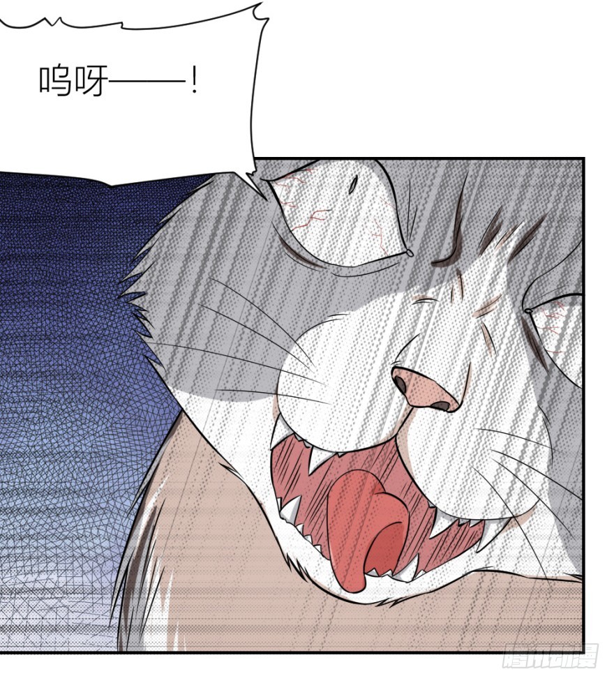 第五十七回 法印阵(1/2)-第57话