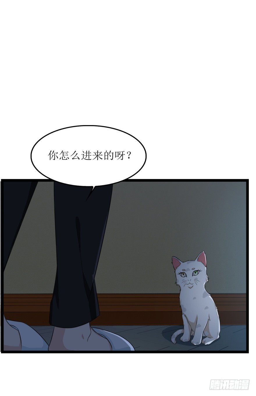第七十九回 诡猫-第79话