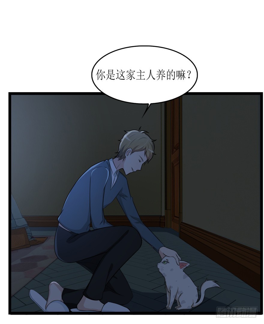第七十九回 诡猫-第79话