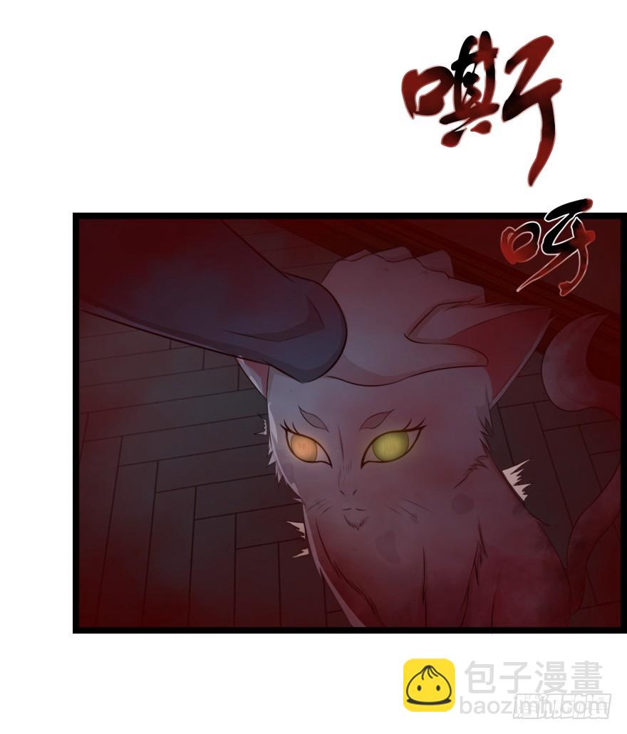 第七十九回 诡猫-第79话