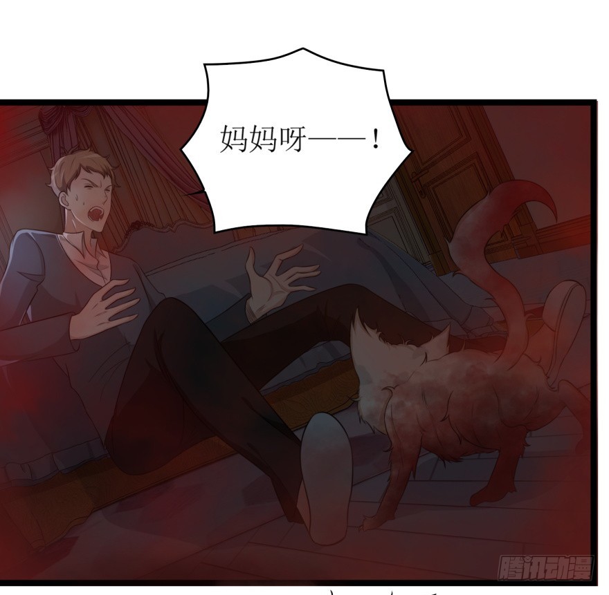 第七十九回 诡猫-第79话