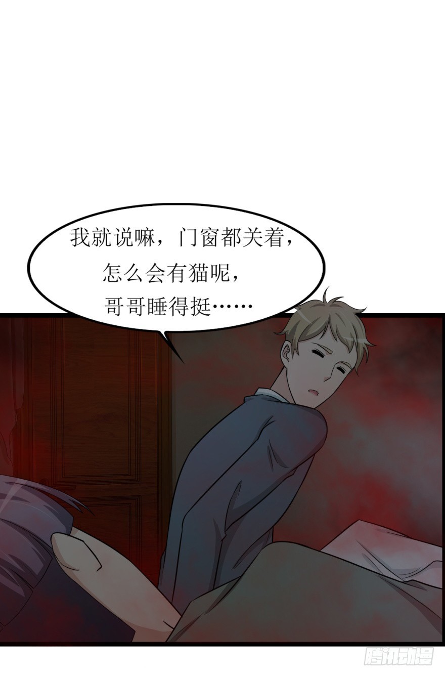 第七十九回 诡猫-第79话