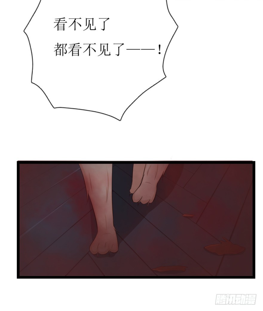 第七十九回 诡猫-第79话