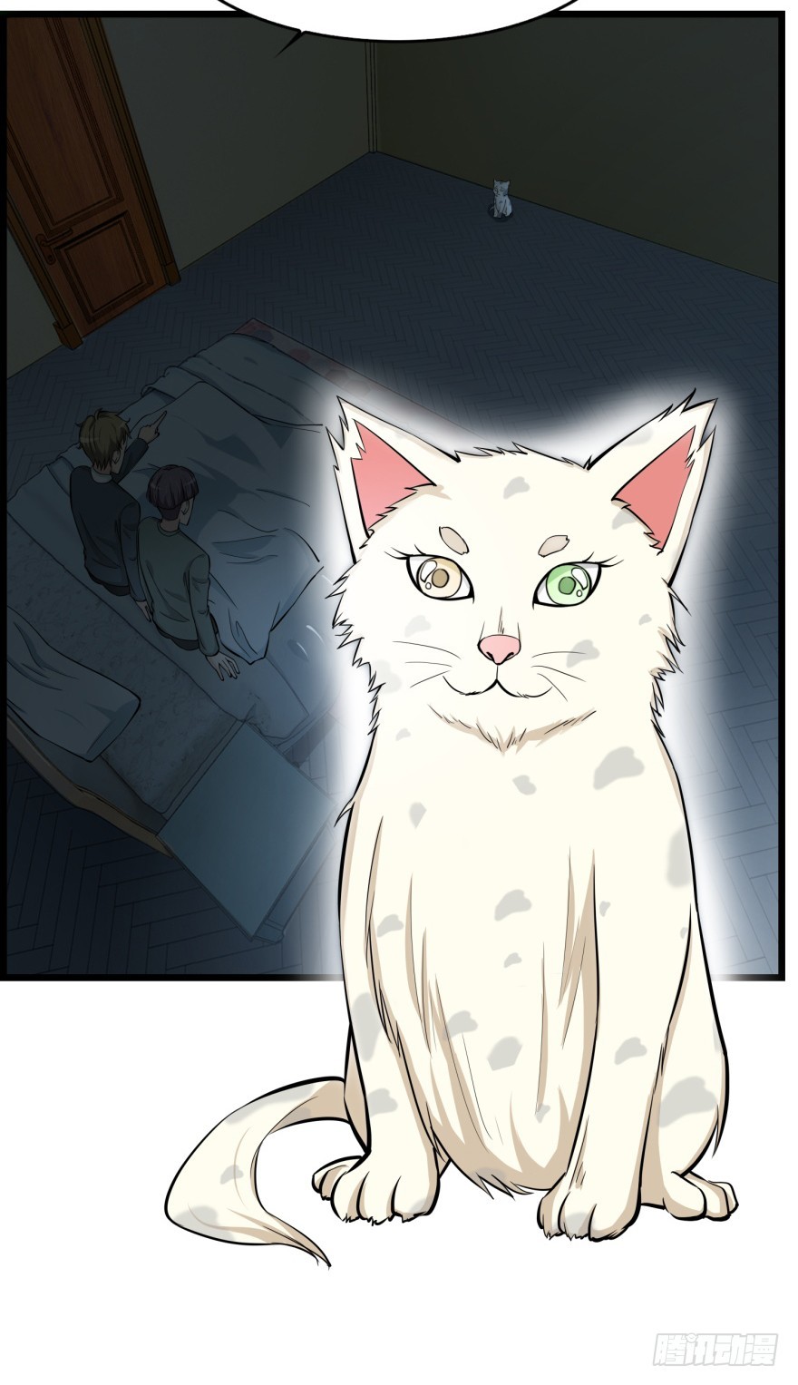 第七十九回 诡猫-第79话