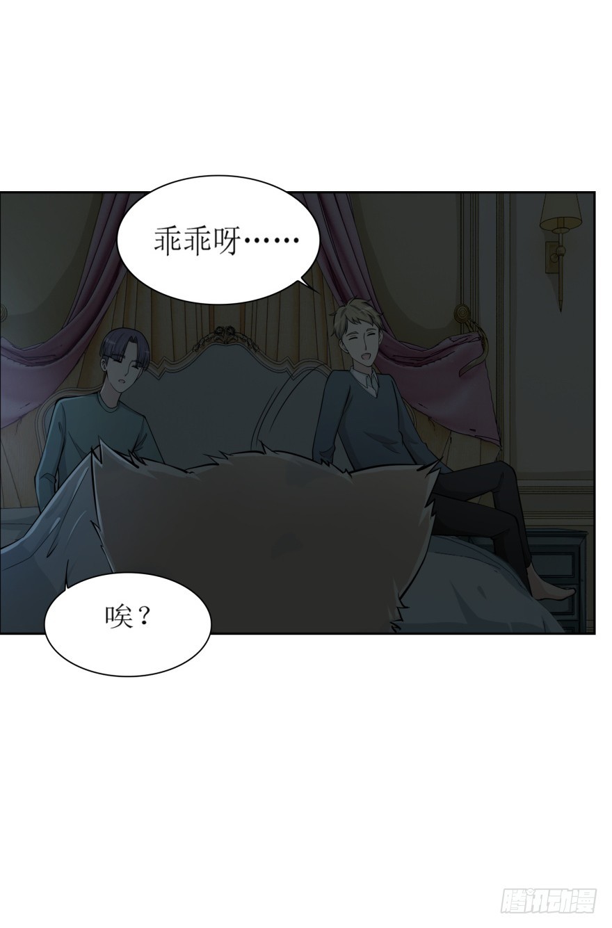 第七十九回 诡猫-第79话