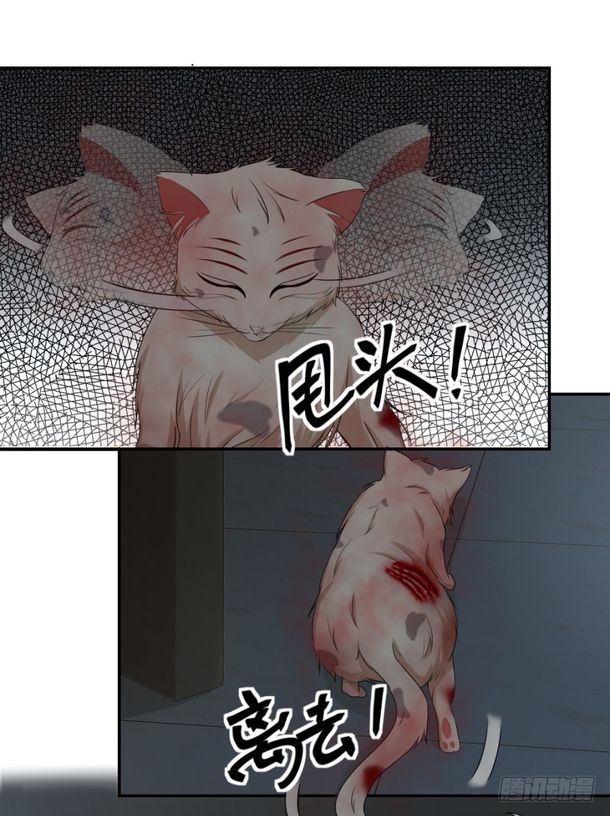 第八十五回 又入未知界-第85话