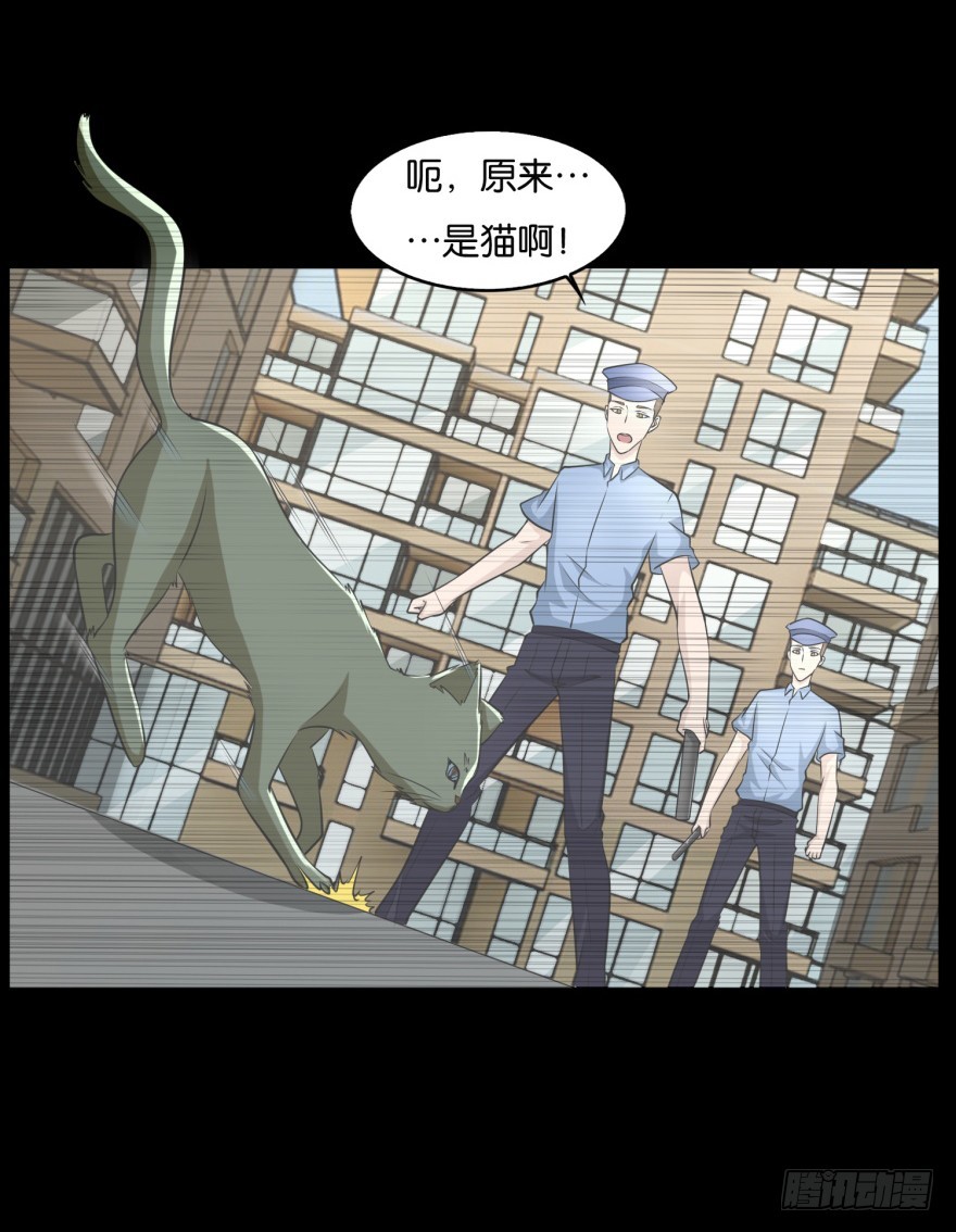 第九十一回 猫奴锦飞-第91话