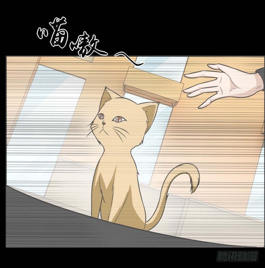 第九十一回 猫奴锦飞-第91话