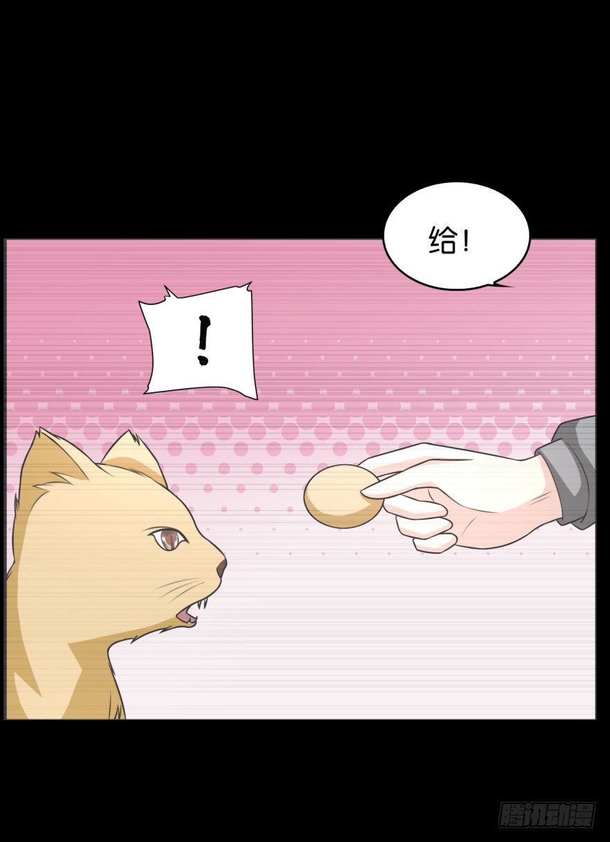 第九十一回 猫奴锦飞-第91话