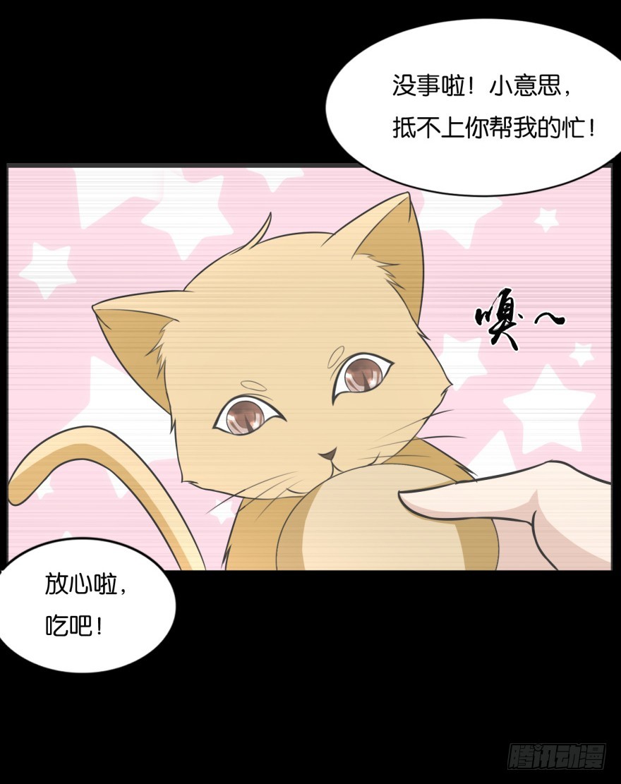 第九十一回 猫奴锦飞-第91话