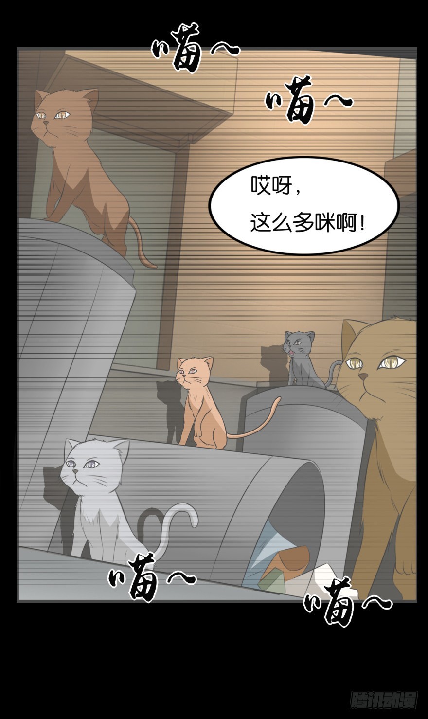 第九十一回 猫奴锦飞-第91话