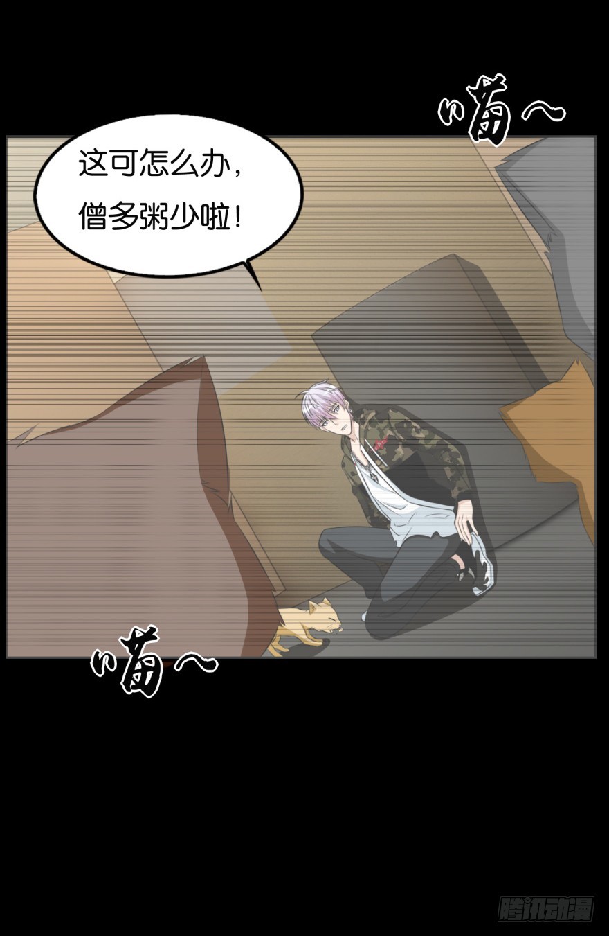 第九十一回 猫奴锦飞-第91话
