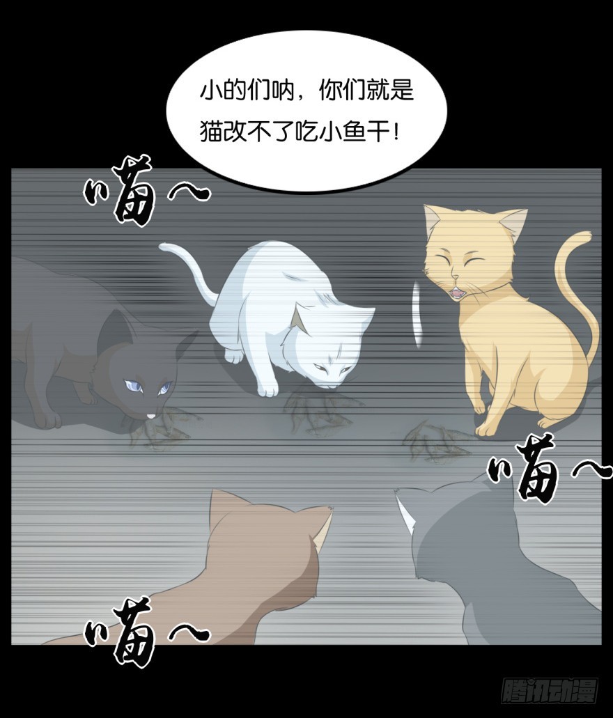 第九十一回 猫奴锦飞-第91话