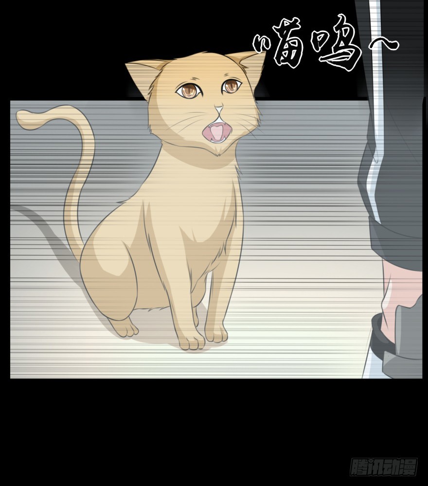 第九十一回 猫奴锦飞-第91话