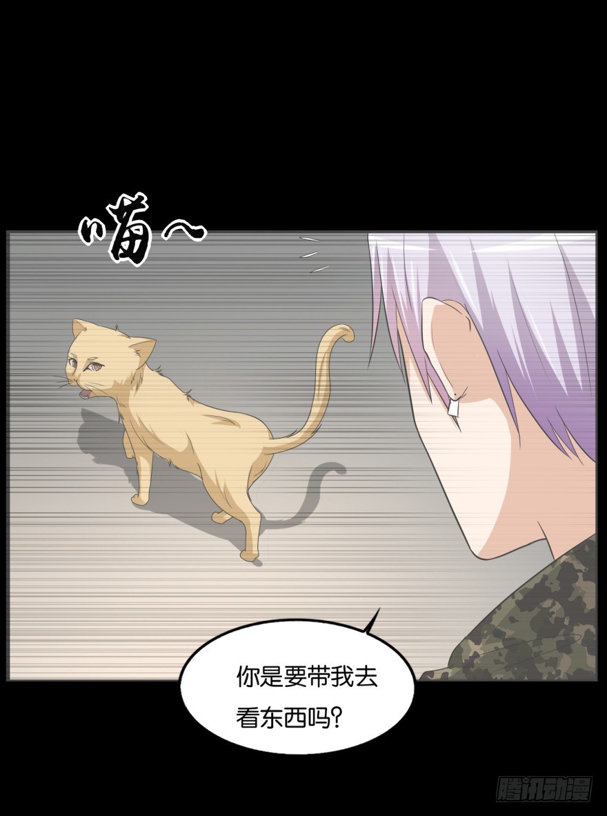 第九十一回 猫奴锦飞-第91话