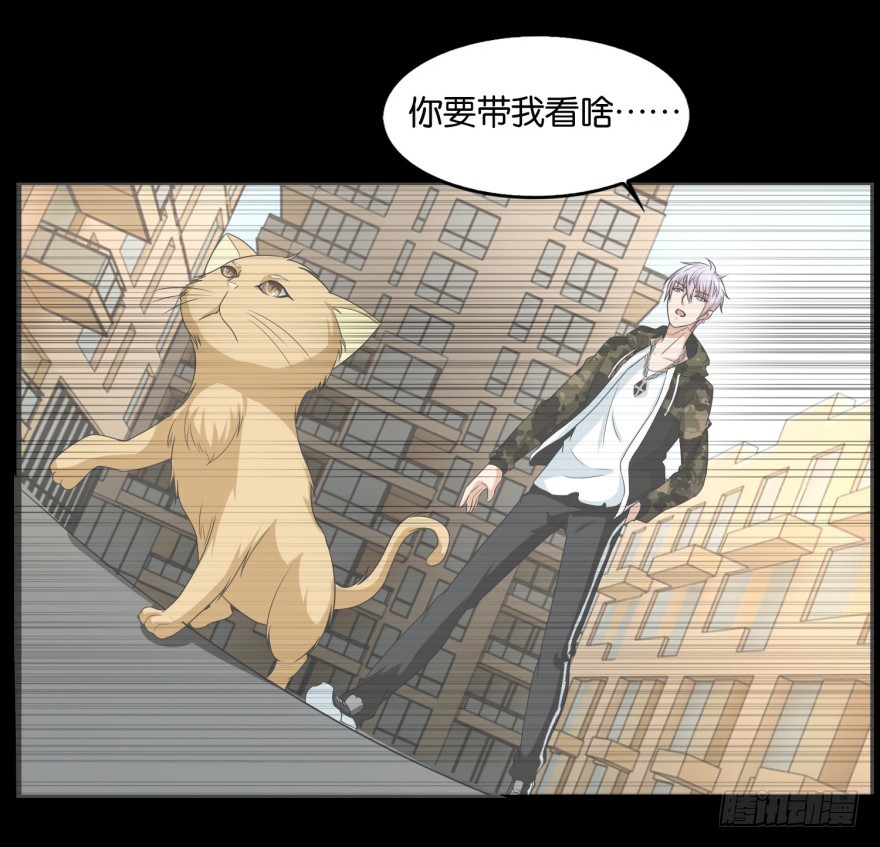 第九十一回 猫奴锦飞-第91话