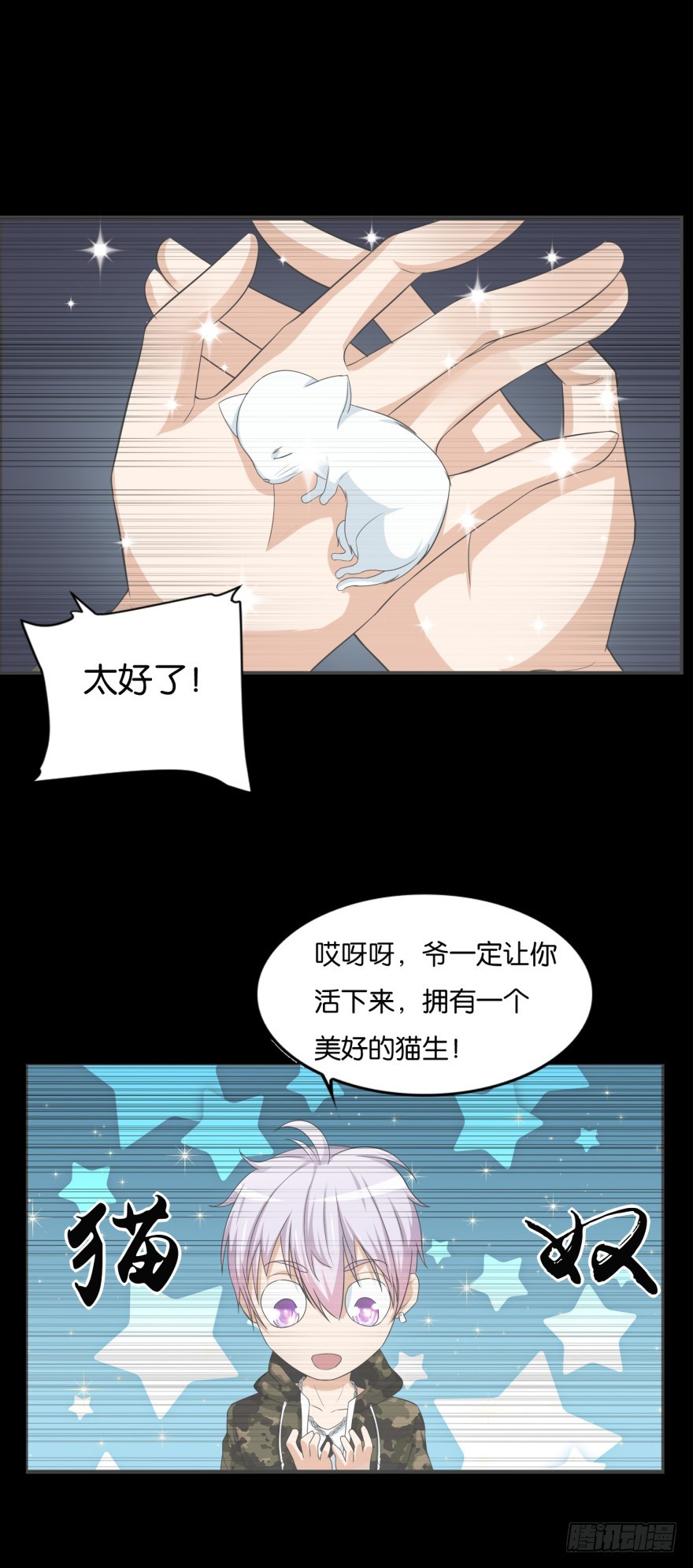 第九十一回 猫奴锦飞-第91话
