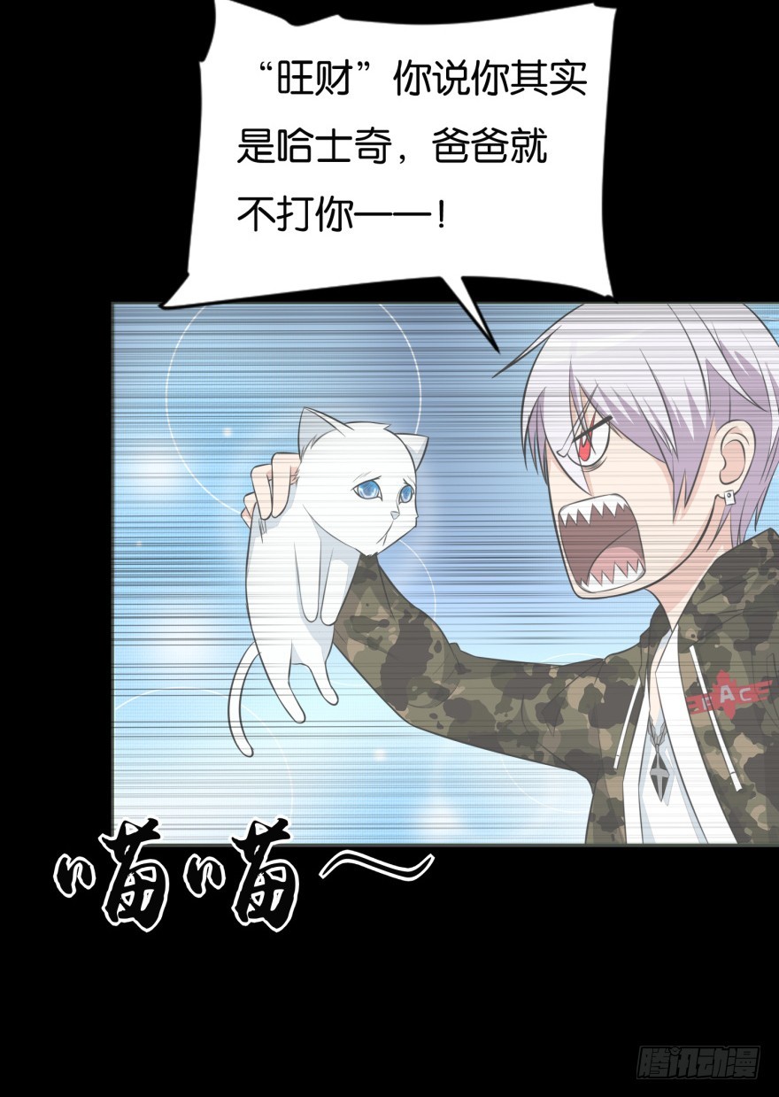 第九十一回 猫奴锦飞-第91话