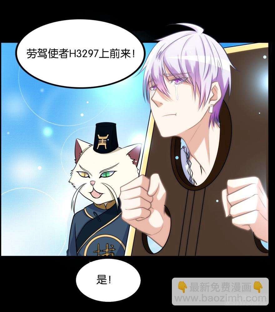 第九十一回 猫奴锦飞-第91话