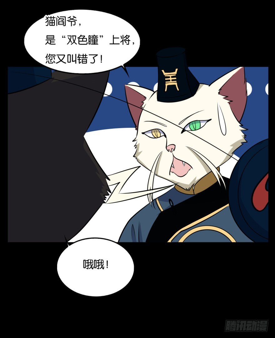 第九十一回 猫奴锦飞-第91话