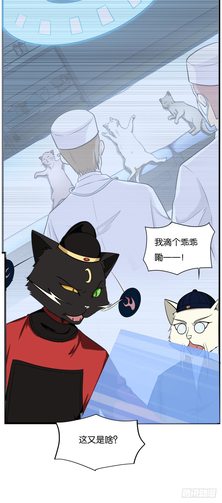 第九十一回 猫奴锦飞-第91话