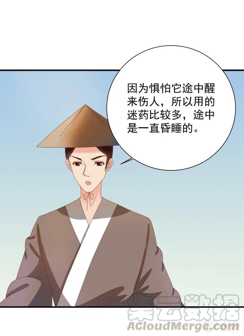 无赖王妃【047 跟踪】-第49话