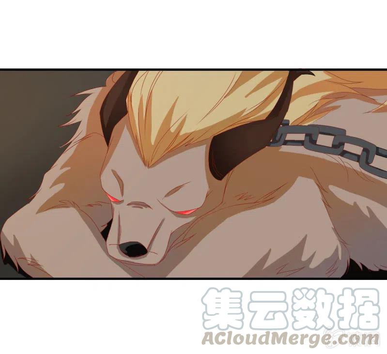 无赖王妃【047 跟踪】-第49话