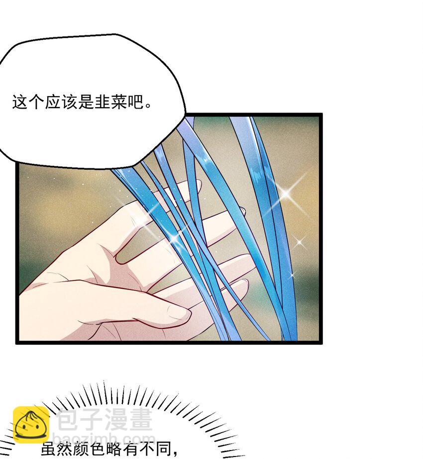 005 灵草园(1/2)-第5话