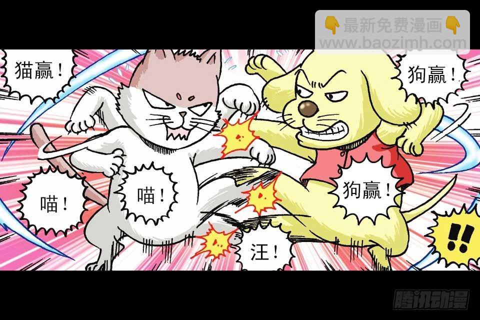第55集 猫奴复仇记(1/2)-第55话