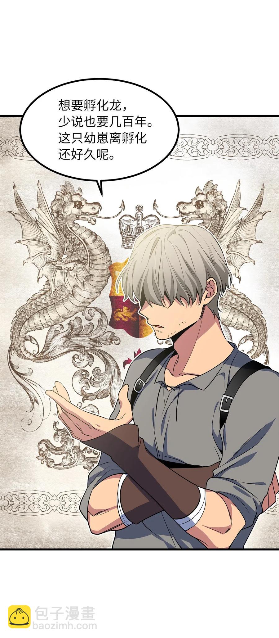 无限魔力初级剑士 - 51 这是龙的幼崽？ - 3