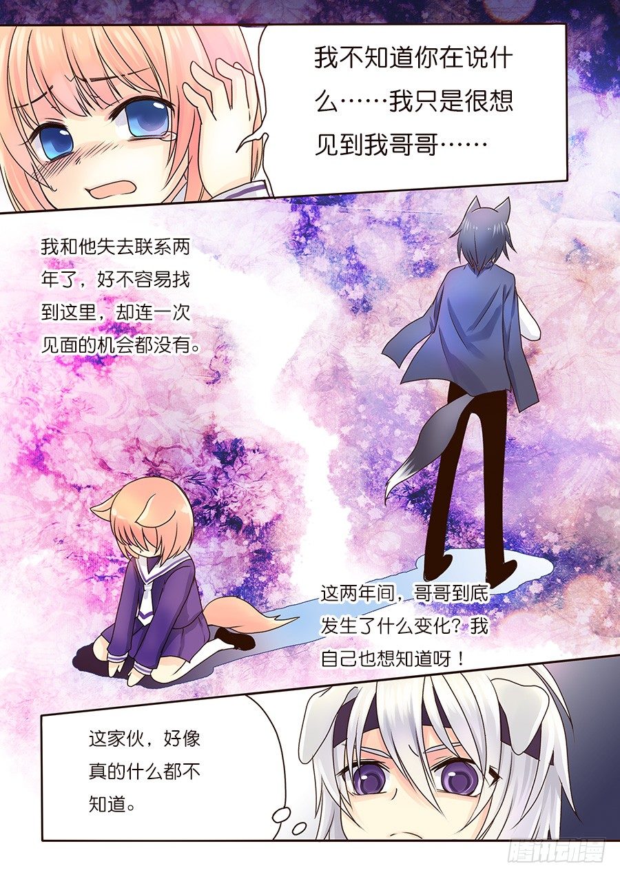 狐狸和狗，剑拔弩张？！-第7话
