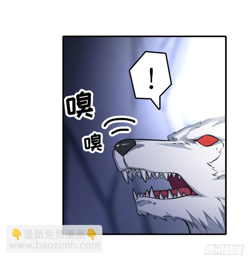 第103话 激昂金狮-第107话