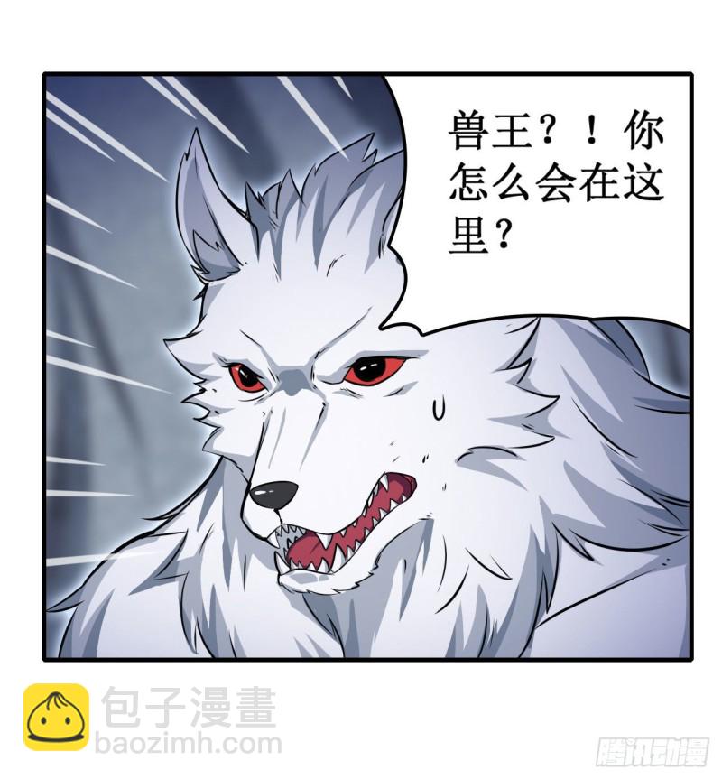 第103话 激昂金狮-第107话