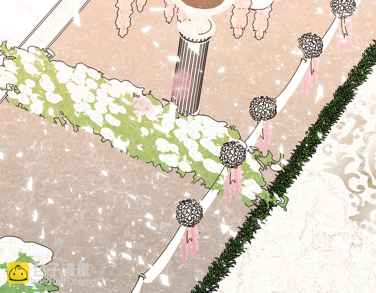 番外5 婚礼上的惊喜(1/5)-第109话