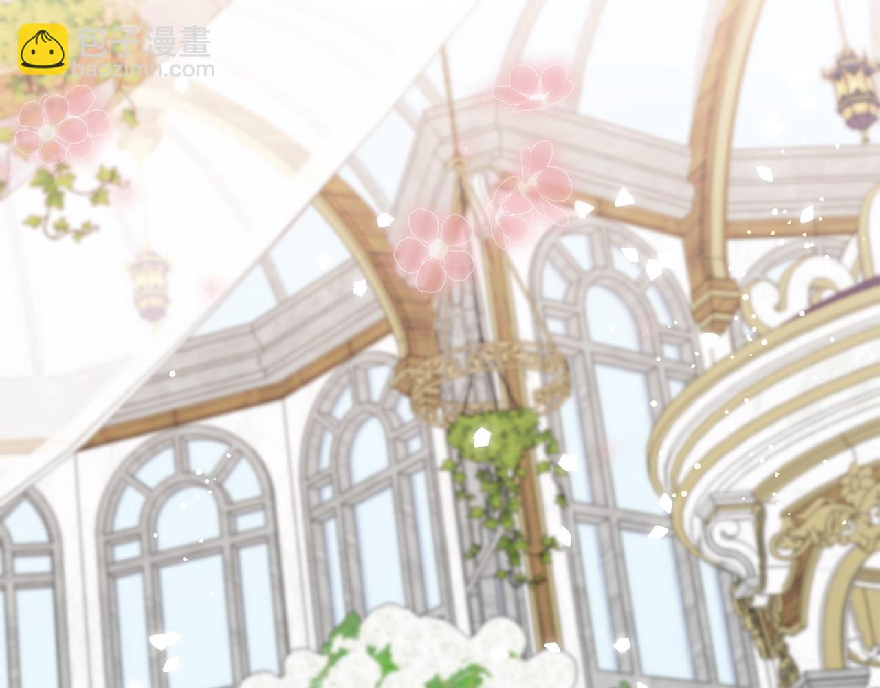 番外5 婚礼上的惊喜(1/5)-第109话