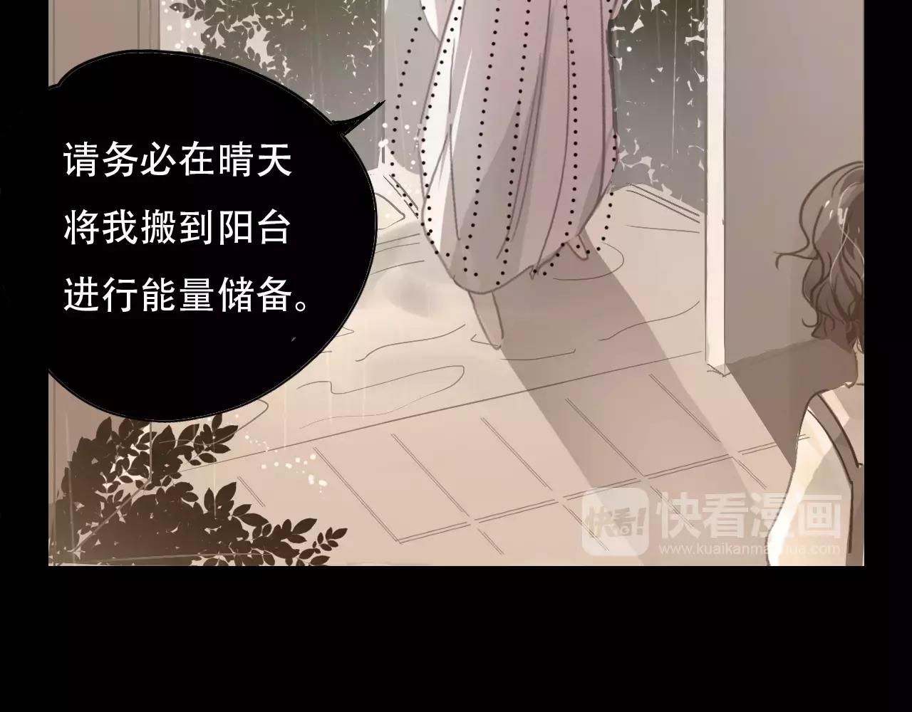 第12话 我来接你回家(1/2)-第13话