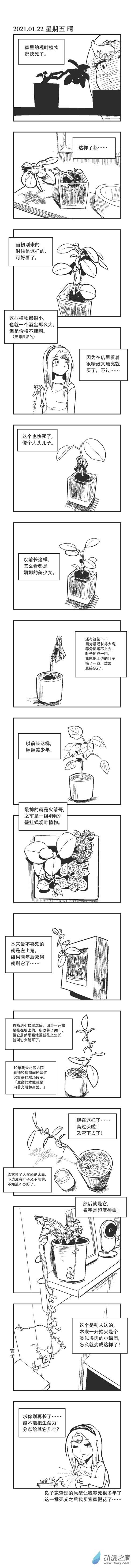 0017 观叶植物-第17话