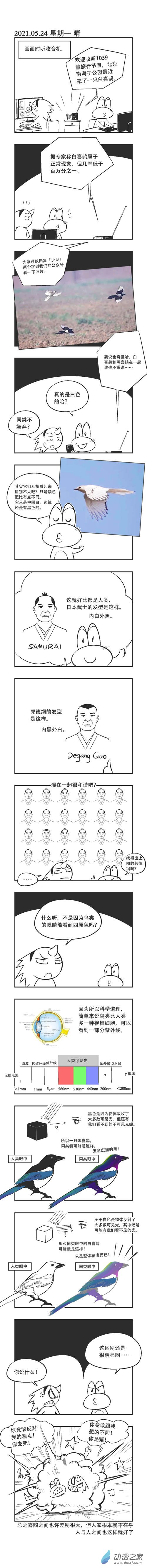 0071 白喜鹊-第71话