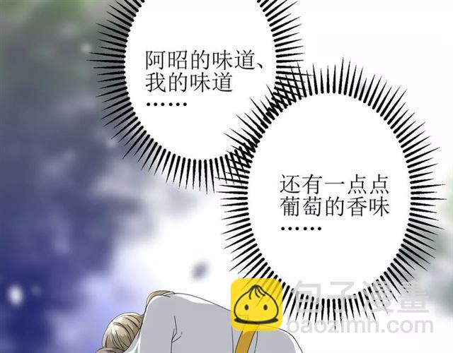 番外2 绿葡萄之夜（下）(1/3)-第33话