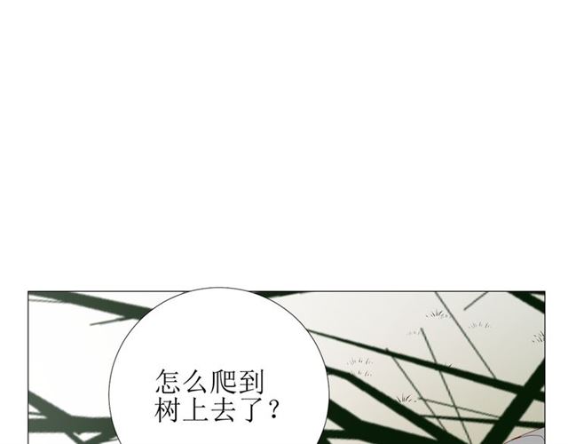 第87话 生辰(1/3)-第97话