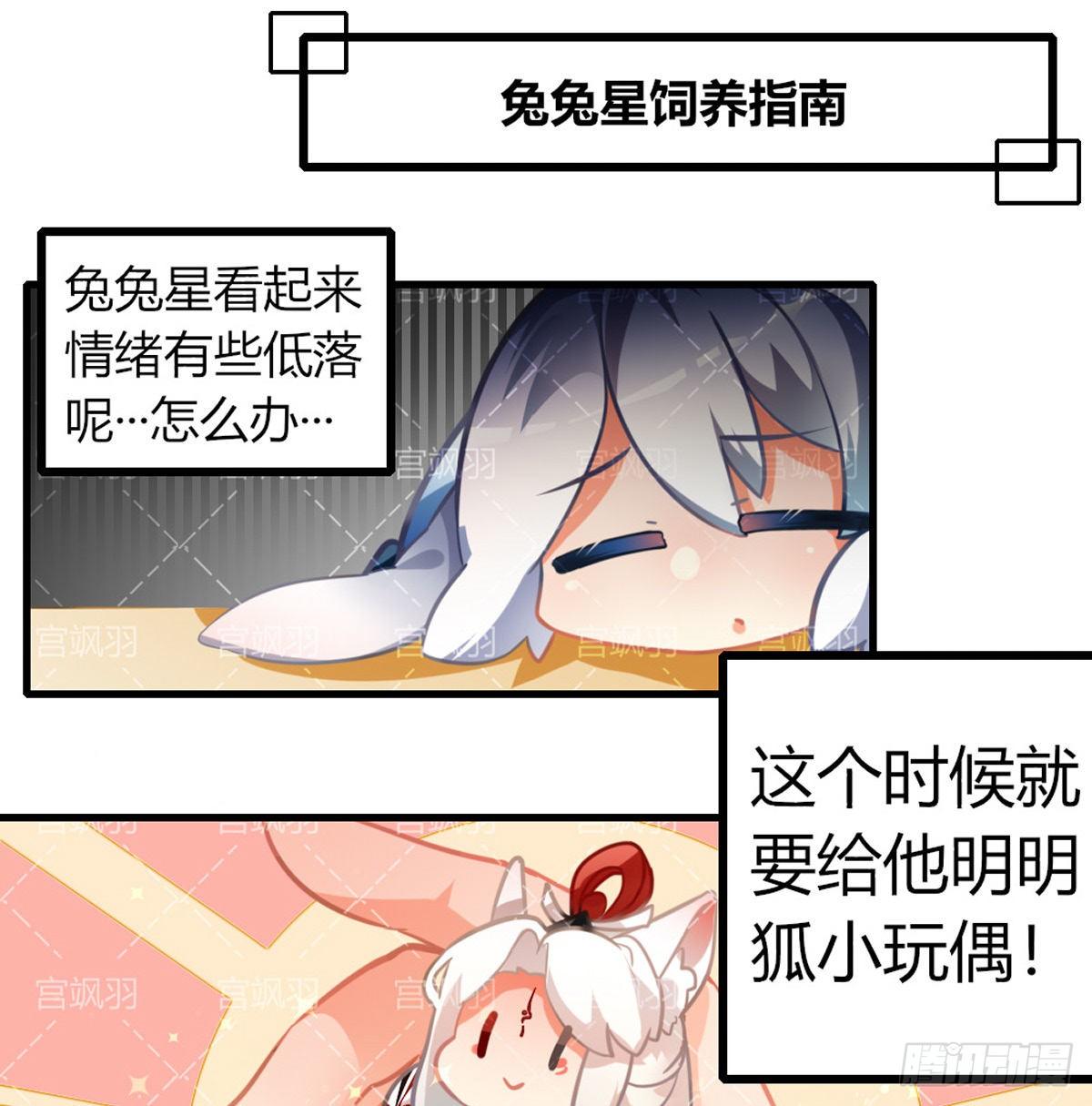 兔兔星饲养指南4-第79话